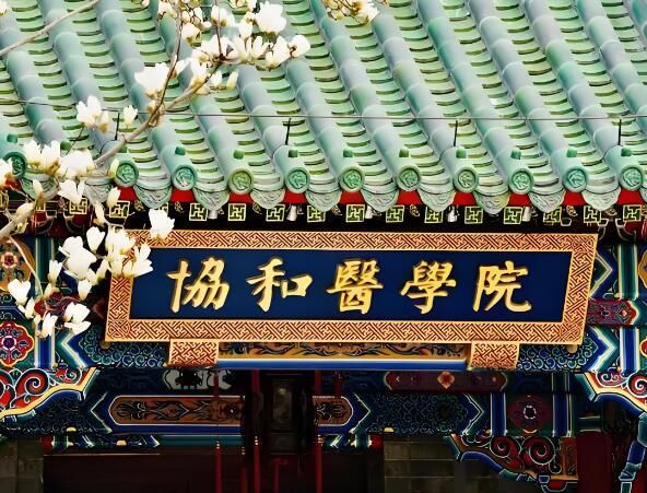 1722829082248557.jpg 北京协和医学院.jpg