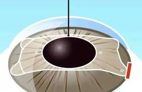 1722945246491137.jpg QQ截图20221024172707.jpg