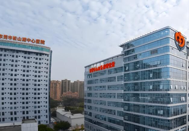 松山湖中心医院.jpg