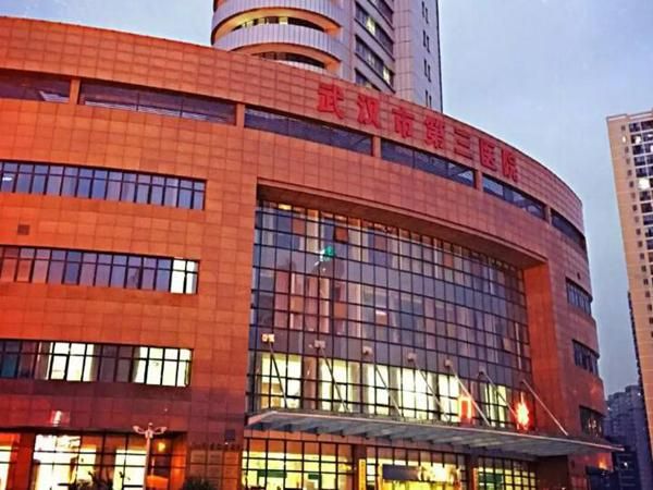 1723391035733792.jpg 武汉市第三医院.jpg