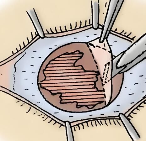 1723593139919178.jpg QQ截图20240809162903.jpg