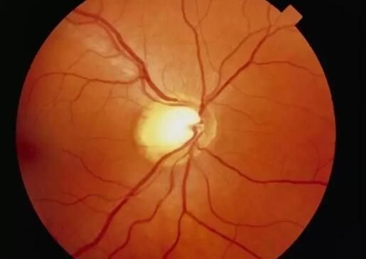 1724036704875878.jpg QQ截图20240806185104.jpg