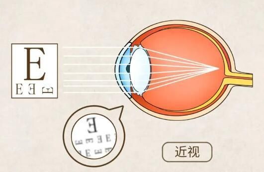 1724118902723174.jpg QQ截图20240807121451.jpg