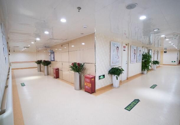 1725616163791538.jpg 115.jpg