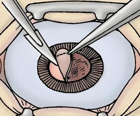 1730450619947176.jpg QQ截图20240809162845.jpg