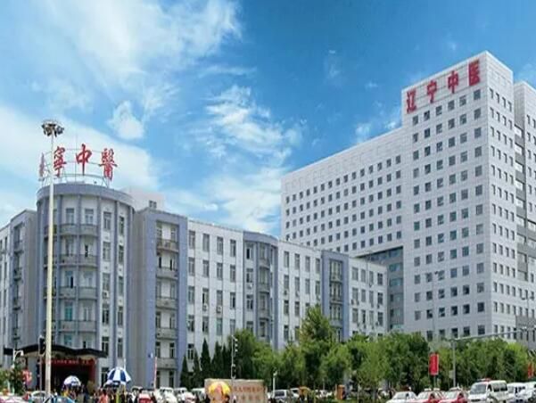 1732586452400953.jpg 辽宁省中医院2.jpg