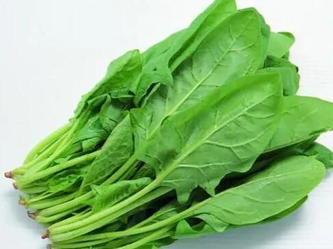 菠菜.jpg